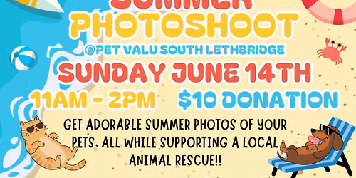 Pet Summer Fun Photoshoot Fundraiser
