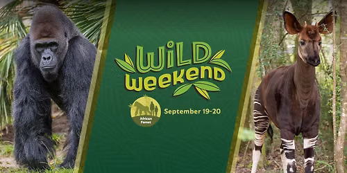Wild Weekend: African Forest