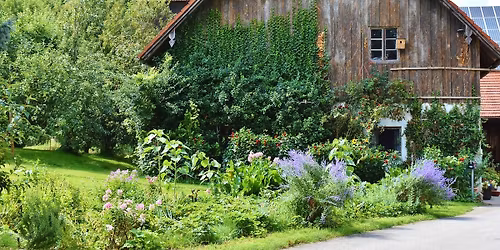 Homestead Discussion Group