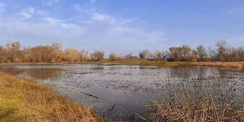 Youth Volunteer Pollinator Planting & Wetland Walk