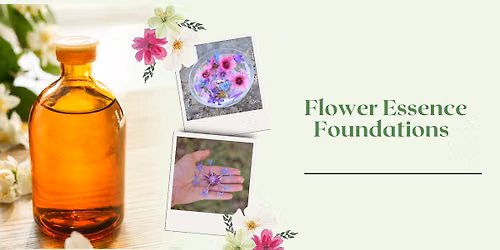 Flower Essence Foundations