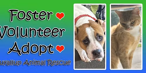 PAR Adoption Event at PetSmart 11\/15\/2025