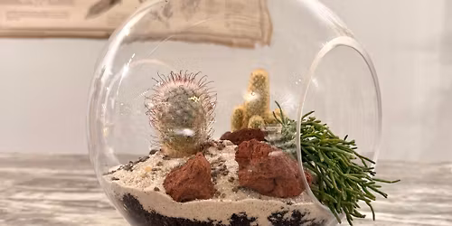 Desert Orb Terrarium Creation Workshop