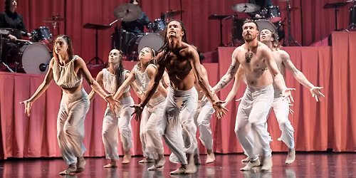 Stephanie Lake Company: "Manifesto"