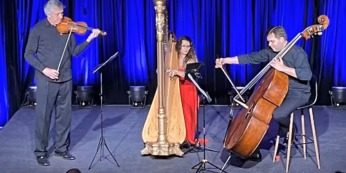 Kontrabas, harfa, housle \u2051 Hudba na Vy\u0161ehrad\u011b
