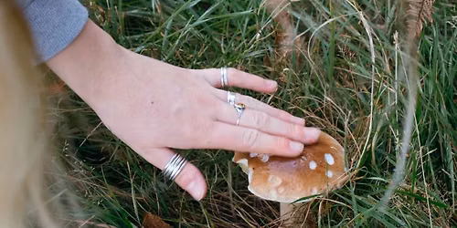 Foraging Walk With Fieldstudy - Beginner Friendly