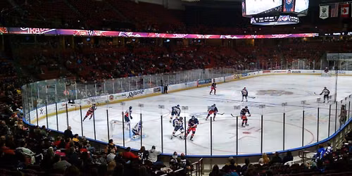 Greenville Swamp Rabbits vs. South Carolina Stingrays