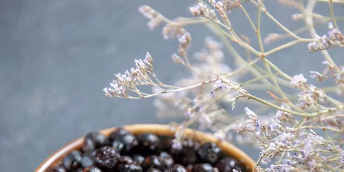 \u201cDigging Deep\u201d Herb Class Series: Elderberry