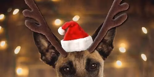 VOL Natte Neuzen Kerst Trail 1,5km - 7,5km - 10km - 4 uur