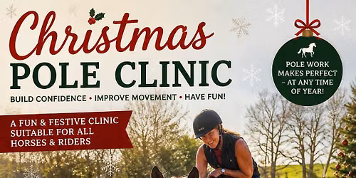 Christmas Pole Clinic with a TWIST !!!!