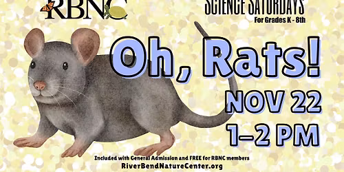 Science Saturday: Oh, Rats!