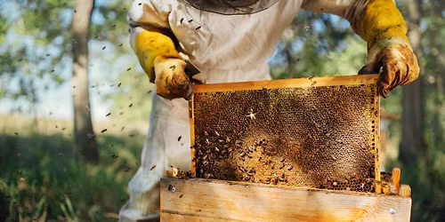 Honey Tasting & Bee Yard Tour