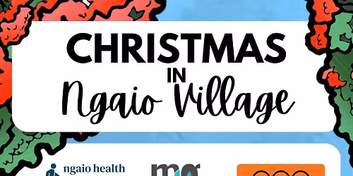 Ngaio Village Christmas Party