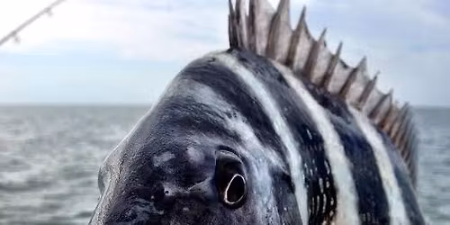 4th annual Southern Slam Sheepshead Tournament