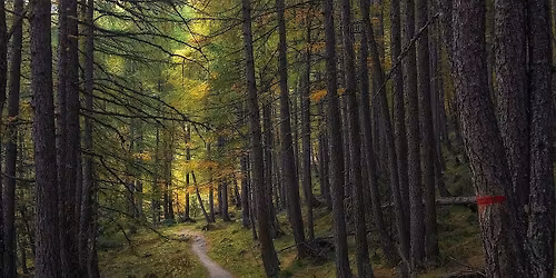 Workshop: Tools and Skills for Environmental Defenders