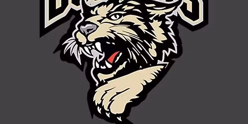 Bismarck Bobcats vs. Aberdeen Wings