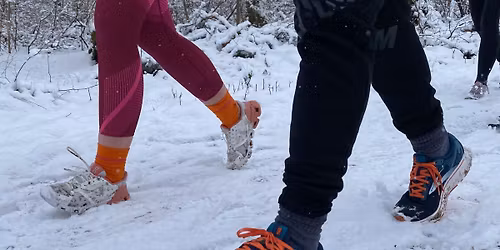 Aufbaukurs Laufen (Karlsruhe)