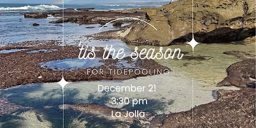 Tis the Season for Tidepooling