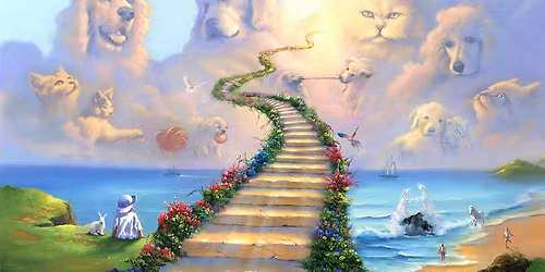 Pet Loss Grief Support