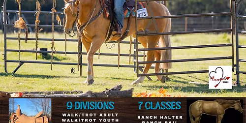 Arrowheart Ranch Horse Buckle Show