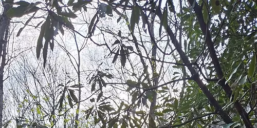 From Rolling to Strolling, My Journey Back....Old Fort Strong Endurance Festival