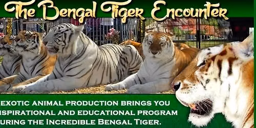 The Bengal Tiger Encounter