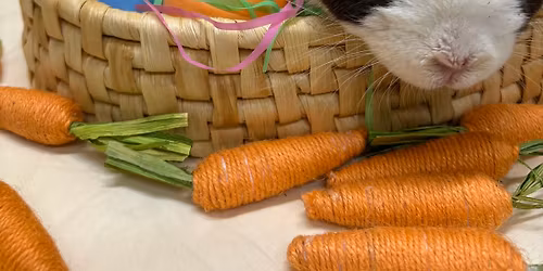 Friends of the Wildlife Sanctuary's Easter Event 