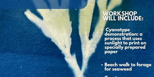 Seaweed Art & Foraging Workshop