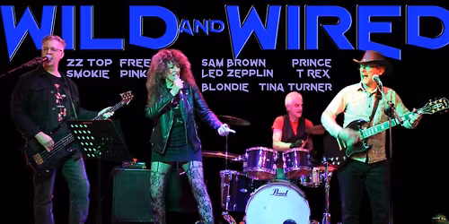 Fancy dress new year party with Wild and Wired