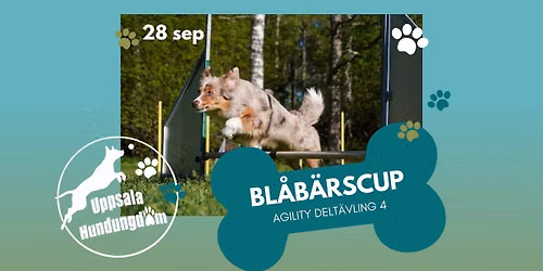 Bl\u00e5b\u00e4rscup Agility - Delt\u00e4vling 4