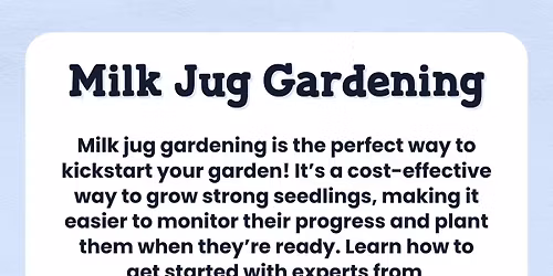 HN - Milk Jug Gardening