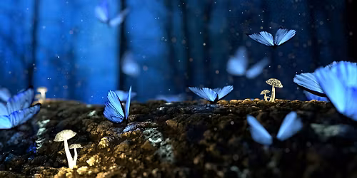 Community Dream Circle