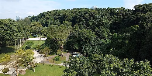 Guided walk at Labrador Park and Nature Reserve