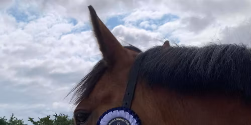 TWRC Open Dressage Show