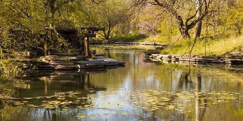 Natural Light Photography Meetup