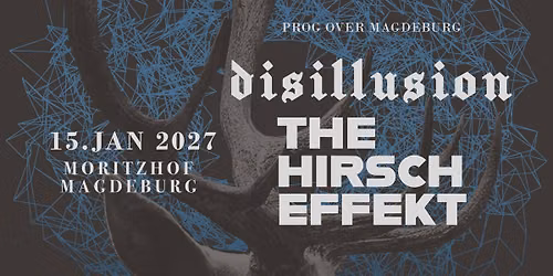 DISILLUSION + THE HIRSCH EFFEKT