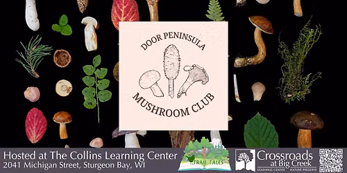 Talk: Mushrooms