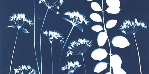 Taller de cianotipia: Arte, Naturaleza en azul. Explorando el legado de Anna Atkins