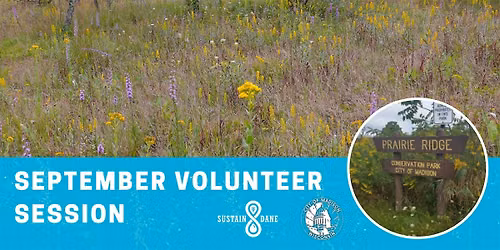 September Volunteer Session