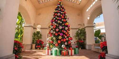 Annual Christmas Tree Lighting Ceremony
