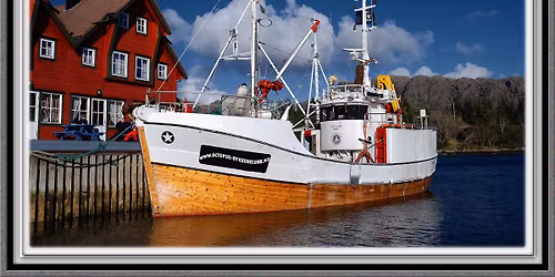 Str\u00f8mdykk og vrakdykk -Ukentlig s\u00f8ndagstur med dykk for alle niv\u00e5er\u2b50\ufe0f