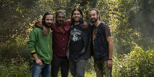 Grass Fed Band Live!
