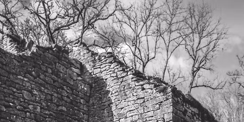 LIVE : Bruit Parasite