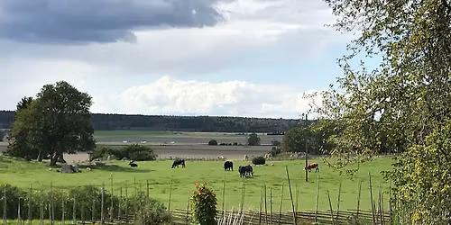 Marknads- och sk\u00f6rdedag