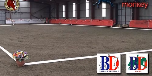 Unaffiliated Dressage 