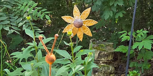 Pottery Sunflower Class
