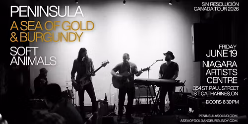 Sin Resoluci\u00f3n Canada Tour @ Niagara Artist Centre with Peninsula - SGB - Soft Animals