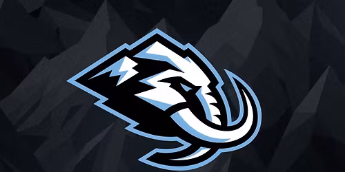 Suite Party at the Utah Mammoth VS St. Louis Blues