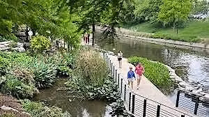 Transforming Urban Waterways into Wildlife Sanctuaries- Discussion