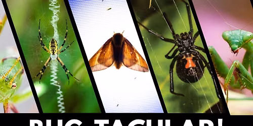 Bugtacular at the Virginia Living Museum